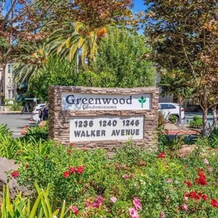 Rent this 1 bed condo on Greenwood Condominiums in 1240 Walker Avenue, Walnut Creek