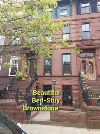 Rent this 1 bed house on 384 MacDonough Street in New York, NY 11233