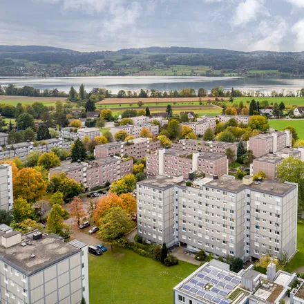 Image 1 - Am Pfisterhölzli 52, 8606 Greifensee, Switzerland - Apartment for rent