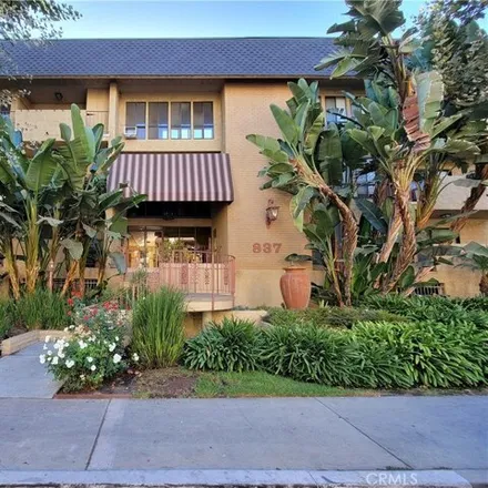 Rent this 2 bed condo on 838 North West Knoll Drive in West Knoll Drive, West Hollywood