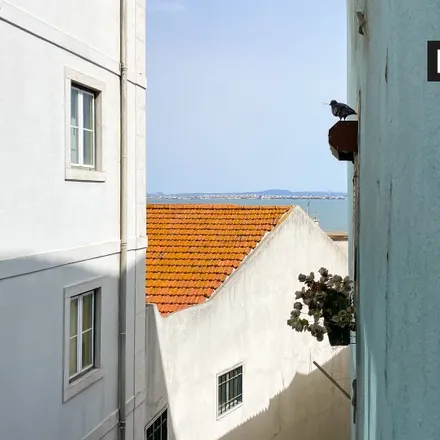 Image 13 - Rua do Museu de Artilharia, 1100-256 Lisbon, Portugal - Apartment for rent