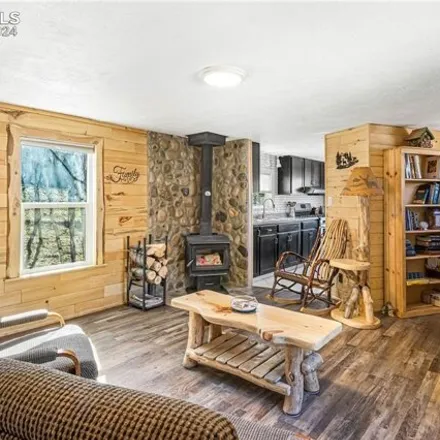 Image 4 - 358 Fern Road, Teller County, CO 80814, USA - Apartment for sale