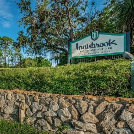Image 6 - unnamed road, Innisbrook, Palm Harbor, FL 34683, USA - Condo for sale