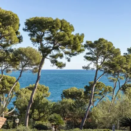 Image 5 - 5 Avenue Georges Cuvier, 06160 Antibes, France - House for sale