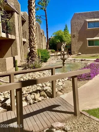 Rent this 2 bed apartment on North Siesta Road in Scottsdale, AZ 85251