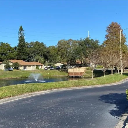 Image 9 - Roxburg Lane, Dunedin, FL 34698, USA - House for sale