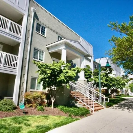 Rent this 2 bed condo on 4161 South Four Mile Run Drive in Arlington, VA 22204