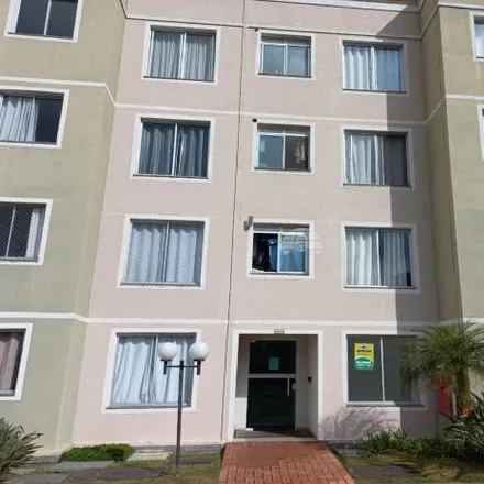 Rent this 1 bed apartment on Rua Coronel Quadros in Cidade Jardim, São José dos Pinhais - PR
