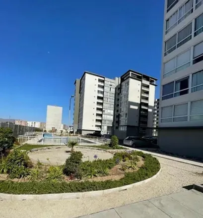 Rent this 1 bed apartment on Federico Arcos in 170 0900 La Serena, Chile