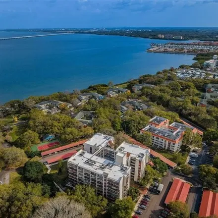 Image 7 - 2699 Seville Boulevard, Clearwater, FL 33764, USA - Condo for sale