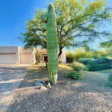 Rent this 3 bed house on 1662 West Silverberry Place in Oro Valley, AZ 85737