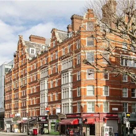 Image 7 - Starr Pharmacy, 81 Gray's Inn Road, London, WC1X 8TT, United Kingdom - Room for rent