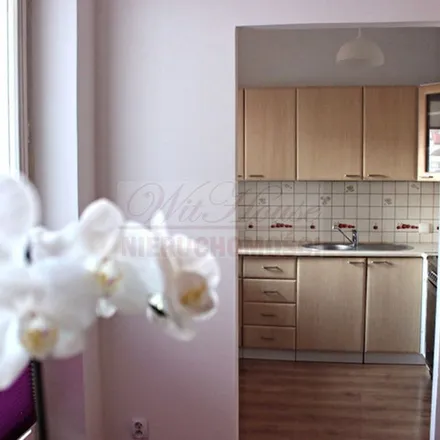 Rent this 1 bed apartment on Królów Polskich 5A in 02-496 Warsaw, Poland