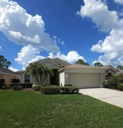 Rent this 4 bed house on 19613 Bellehurst Loop in Pasco County, FL 34638