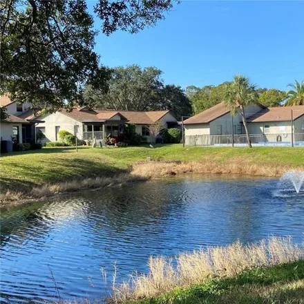 Image 8 - Roxburg Lane, Dunedin, FL 34698, USA - House for sale