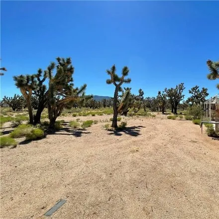 Image 8 - 26418 Apple Drive, Mohave County, AZ 86444, USA - House for sale