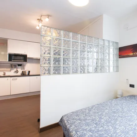 Rent this studio apartment on Carrer de Maignon in 5, 08001 Barcelona