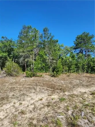 Image 2 - North Sand Drive, Citrus County, FL 34465, USA - House for sale