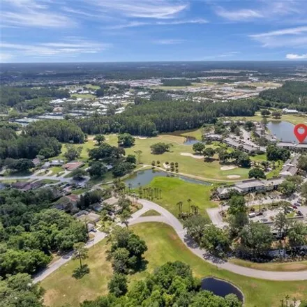 Image 4 - 29148 Bay Hollow Drive, Wesley Chapel, FL 33543, USA - Condo for sale