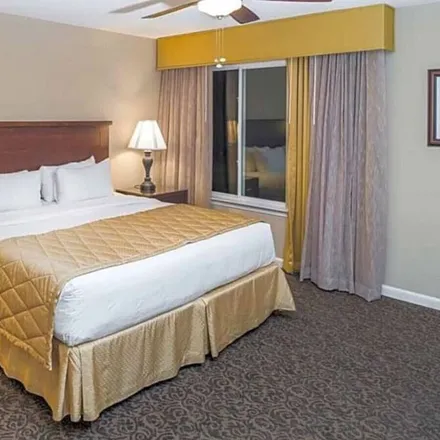 Rent this 1 bed condo on Williamsburg