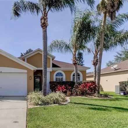 Rent this 4 bed house on 1539 Crossvine Ct in Trinity, Florida