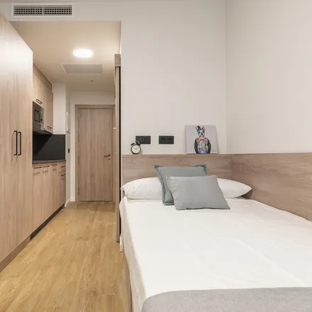 Rent this 1 bed room on Lidl in Calle Alcalde Ángel Arroyo, 18