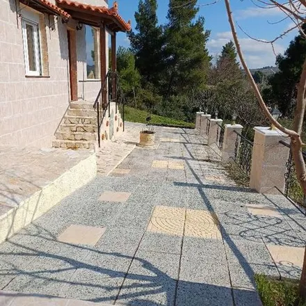 Image 6 - Αγία Παρασκευή, Municipality of Kifisia, Greece - Apartment for rent
