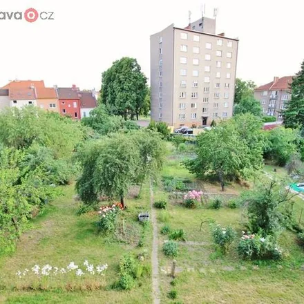 Image 2 - Kotkova 548/16, 618 00 Brno, Czechia - Apartment for rent