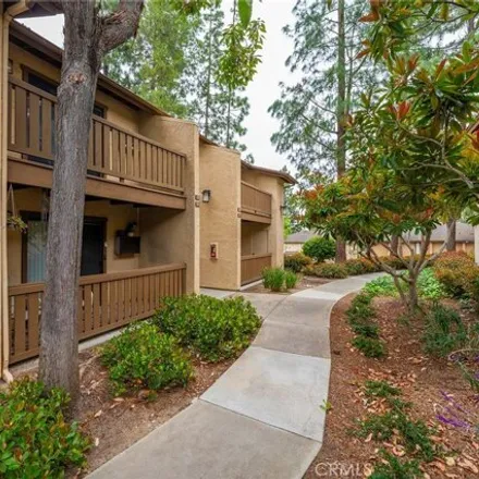 Rent this 1 bed condo on 10290 Black Mountain Road in San Diego, CA 92126