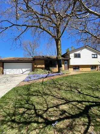 Image 2 - 11013 Shadywoods Court, Shelby Charter Township, MI 48317, USA - House for sale