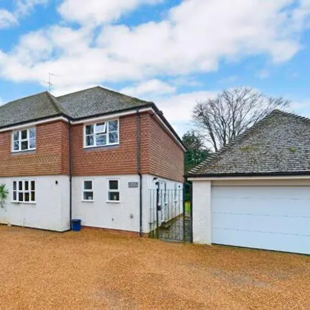 Rent this 6 bed house on St Edmunds Catholic Primary School in The Drive, Godalming