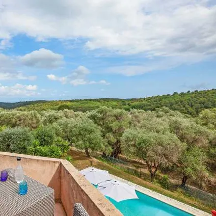 Image 3 - 06560 Valbonne, France - House for sale