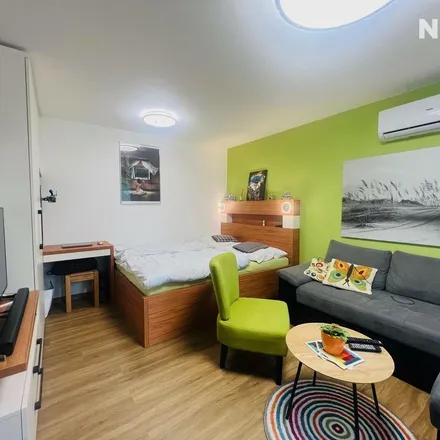 Rent this 1 bed apartment on J. Opletala 836/47 in 370 05 České Budějovice, Czechia