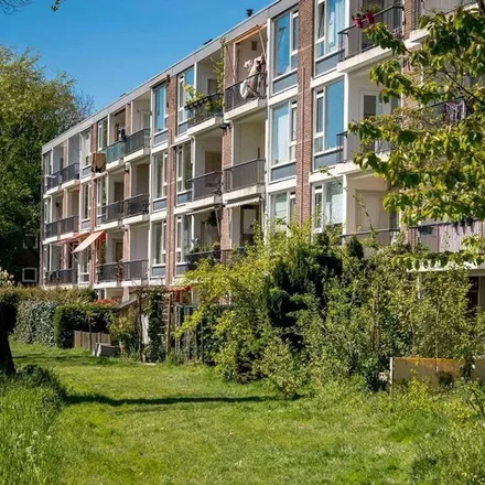 Rent this 4 bed apartment on Schierstins 149 in 1082 TG Amsterdam, Netherlands