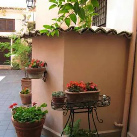 Rent this 3 bed apartment on Centro sportivo Benedetto XV in Via dei Sabelli 88c, 00185 Rome RM