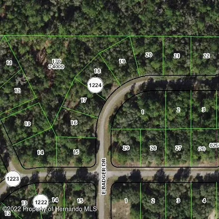 Image 1 - 2200 West Springlake Drive, Citrus County, FL 34434, USA - House for sale