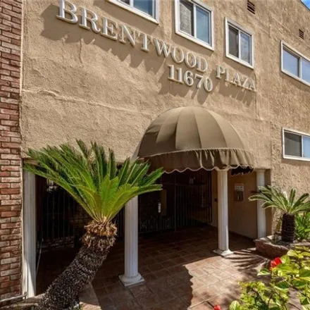 Rent this 1 bed condo on 11600 Chayote Street in Los Angeles, CA 90049