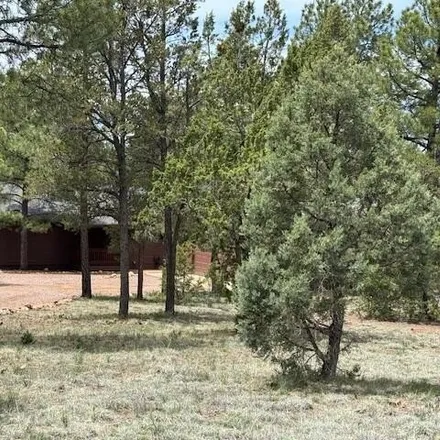 Image 4 - 3332 Navajo Drive, Navajo County, AZ 85933, USA - House for sale