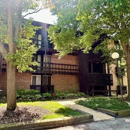 Rent this 1 bed condo on 5515 East Lake Drive in Lisle, IL 60532