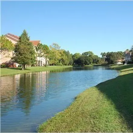 Image 4 - McIntosh Road, Sarasota County, FL 34238, USA - Condo for rent