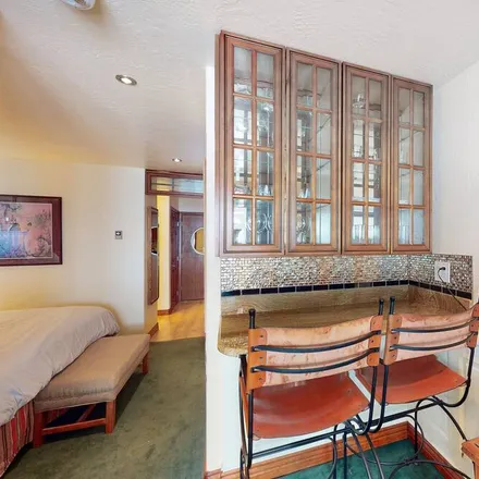 Image 1 - Crested Butte, CO, 81224 - Condo for rent