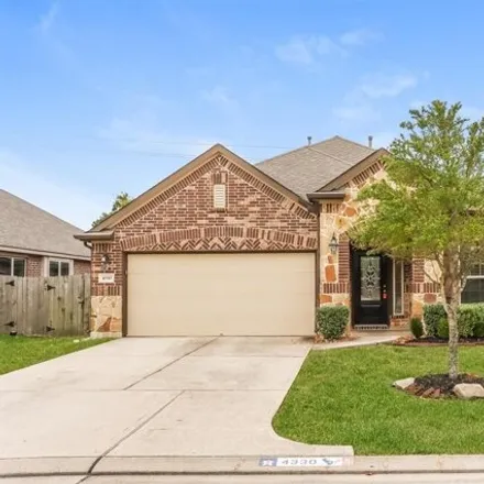 Rent this 3 bed house on Bearberry Avenue in Harris County, TX 77521
