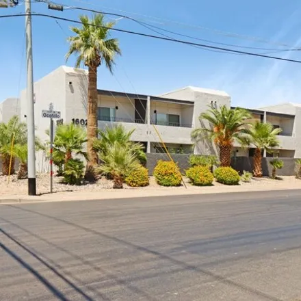 Rent this 1 bed apartment on 11190 in North 16th Street, Phoenix