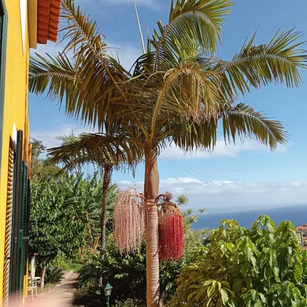 Rent this 3 bed apartment on Estrada dos Moinhos in 9125-202 Caniço, Madeira