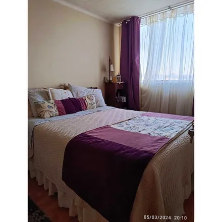 Image 9 - Prieto, 403 0177 Concepcion, Chile - Apartment for sale