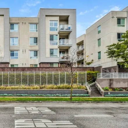 Rent this 1 bed apartment on 12623 West Bluff Creek Drive in Los Angeles, CA 90094