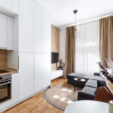 Rent this 1 bed apartment on U Medvídků in Na Perštýně 345/7, 110 00 Prague