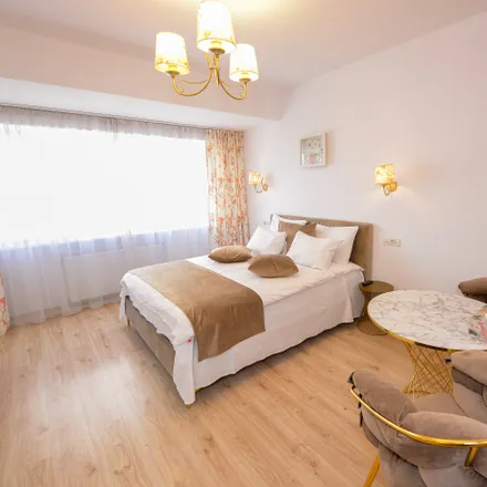 Rent this 1 bed apartment on Calea Victoriei 109 in 010067 Bucharest, Romania