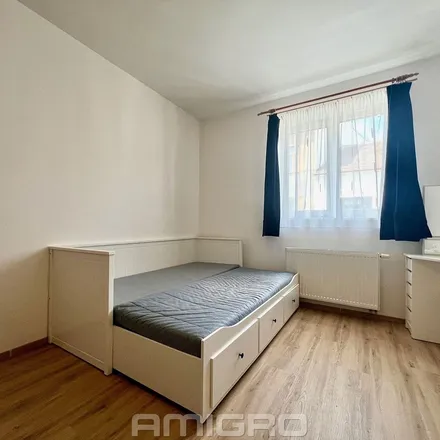Image 5 - Košinova 3135/34, 612 00 Brno, Czechia - Apartment for rent