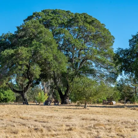 Image 8 - 5266 Old Sonoma Road, Napa, CA 94559, USA - Loft for sale